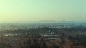 Tree of Life Ramvilas, Bandhavgarh